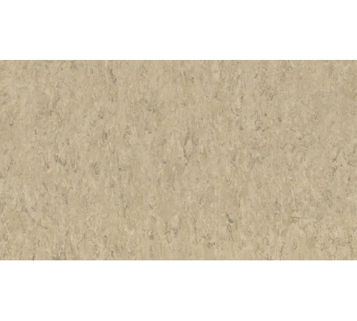 Линолеум Tarkett VENETO xf²™ (2.5 mm) - Veneto ECRU 711