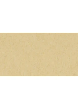 Линолеум Tarkett VENETO xf²™ (2.5 mm) - Veneto EGGSHELL 619