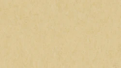 Лінолеум Tarkett VENETO xf²™ (2.5 mm) - Veneto EGGSHELL 619