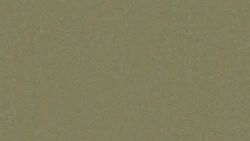 Лінолеум Tarkett VENETO xf²™ (2.5 mm) - Veneto KHAKI 757