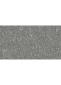 Линолеум Tarkett VENETO xf²™ (2.5 mm) - Veneto PEBBLE 604