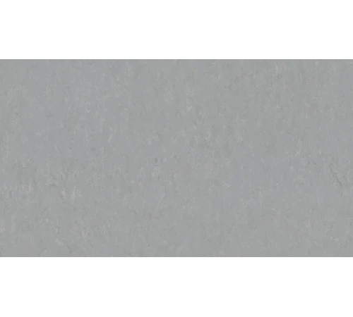 Линолеум Tarkett VENETO xf²™ (2.5 mm) - Veneto PEWTER 685