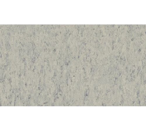 Линолеум Tarkett VENETO xf²™ (2.5 mm) - Veneto PLATINUM 684