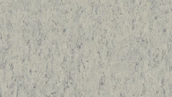 Лінолеум Tarkett VENETO xf²™ (2.5 mm) - Veneto PLATINUM 684