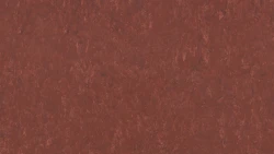 Лінолеум Tarkett VENETO xf²™ (2.5 mm) - Veneto RASPBERRY 945