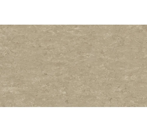 Лінолеум Tarkett VENETO xf²™ (2.5 mm) - Veneto SILK 625