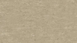Лінолеум Tarkett VENETO xf²™ (2.5 mm) - Veneto SILK 625