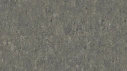 Лінолеум Tarkett VENETO xf²™ (2.5 mm) - Veneto SMOKE 608