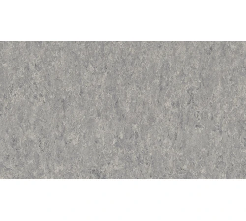 Линолеум Tarkett VENETO xf²™ (2.5 mm) - Veneto STORM 702