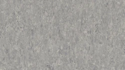 Лінолеум Tarkett VENETO xf²™ (2.5 mm) - Veneto STORM 702