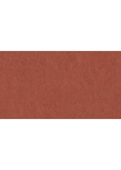 Линолеум Tarkett VENETO xf²™ (2.5 mm) - Veneto TERRACOTTA 641