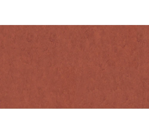 Линолеум Tarkett VENETO xf²™ (2.5 mm) - Veneto TERRACOTTA 641
