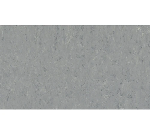 Лінолеум Tarkett VENETO xf²™ (2.5 mm) - Veneto ZINC 671