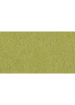 Линолеум Tarkett VENETO xf²™ (3.2 mm) - Veneto ABSINTHE 695