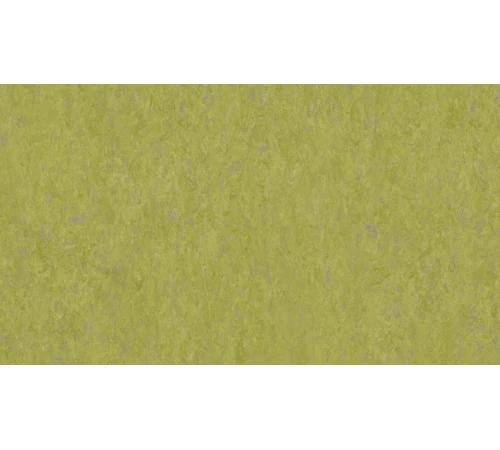 Лінолеум Tarkett VENETO xf²™ (3.2 mm) - Veneto ABSINTHE 695