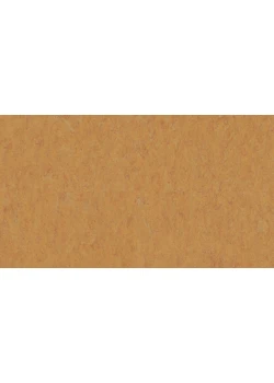 Линолеум Tarkett VENETO xf²™ (3.2 mm) - Veneto AMBER 636