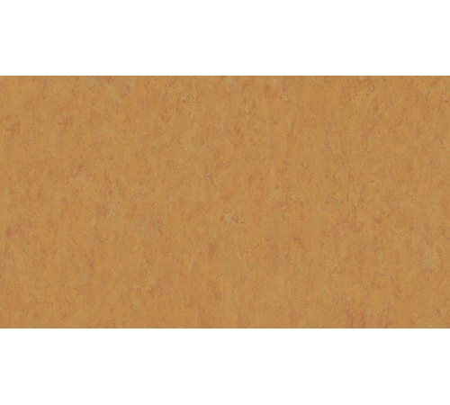 Линолеум Tarkett VENETO xf²™ (3.2 mm) - Veneto AMBER 636