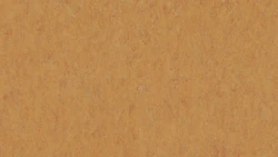 Лінолеум Tarkett VENETO xf²™ (3.2 mm) - Veneto AMBER 636