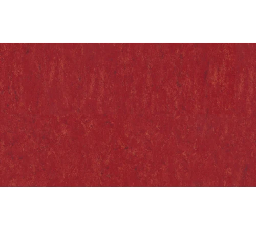 Линолеум Tarkett VENETO xf²™ (3.2 mm) - Veneto CARMINE 645