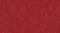 Лінолеум Tarkett VENETO xf²™ (3.2 mm) - Veneto CARMINE 645