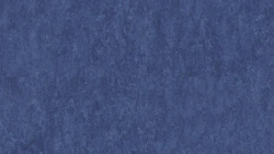 Лінолеум Tarkett VENETO xf²™ (3.2 mm) - Veneto NAVY 688