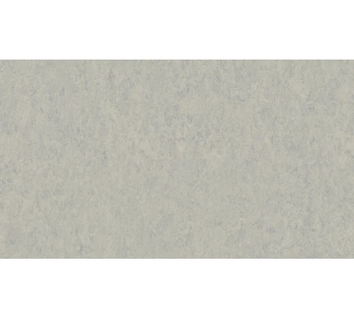 Линолеум Tarkett VENETO xf²™ (3.2 mm) - Veneto GREY 793