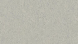 Лінолеум Tarkett VENETO xf²™ (3.2 mm) - Veneto GREY 793