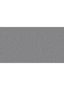 Линолеум Tarkett VENETO xf²™ (3.2 mm) - Veneto STEEL 673