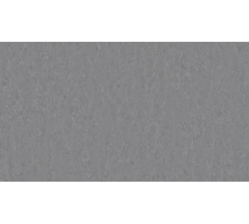 Линолеум Tarkett VENETO xf²™ (3.2 mm) - Veneto STEEL 673