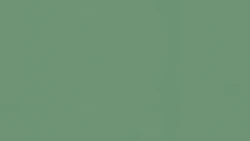 Линолеум Tarkett ETRUSCO xf²™ (2.5 mm) - Etrusco BASIL 056