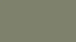 Линолеум Tarkett ETRUSCO xf²™ (2.5 mm) - Etrusco CROCODILE 091