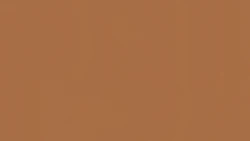 Линолеум Tarkett ETRUSCO xf²™ (2.5 mm) - Etrusco GINGER 038