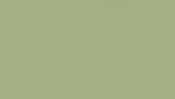 Линолеум Tarkett ETRUSCO xf²™ (2.5 mm) - Etrusco OLIVE 055