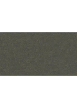 Линолеум Tarkett Originale Essenza+ (2.5mm) - Originale BASALT 430