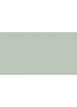 Линолеум Tarkett STYLE EMME xf²™ (2.5 mm) - Style Emme CAROLINA 760