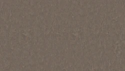 Лінолеум Tarkett STYLE EMME xf²™ (2.5 mm) - Style Emme CEDAR 732