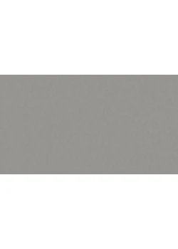 Линолеум Tarkett STYLE EMME xf²™ (2.5 mm) - Style Emme CEMENTO 202