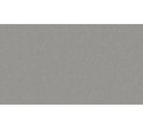 Линолеум Tarkett STYLE EMME xf²™ (2.5 mm) - Style Emme CEMENTO 202