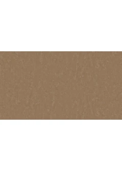 Линолеум Tarkett STYLE EMME xf²™ (2.5 mm) - Style Emme CINNAMMON 731