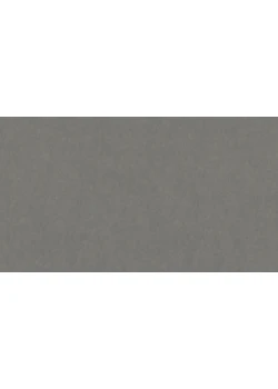 Линолеум Tarkett STYLE EMME xf²™ (2.5 mm) - Style Emme FERRO 205