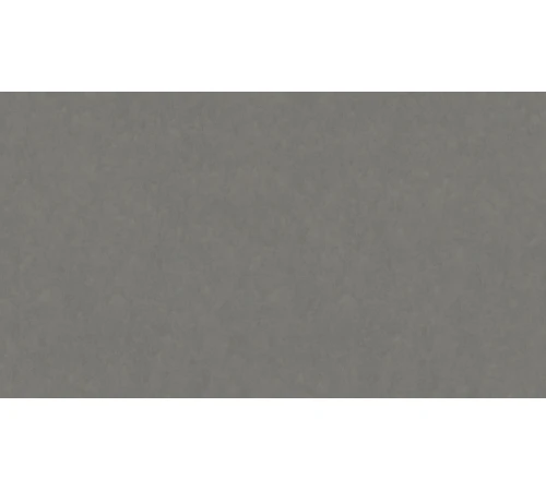 Линолеум Tarkett STYLE EMME xf²™ (2.5 mm) - Style Emme FERRO 205