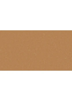 Линолеум Tarkett STYLE EMME xf²™ (2.5 mm) - Style Emme FOX 734