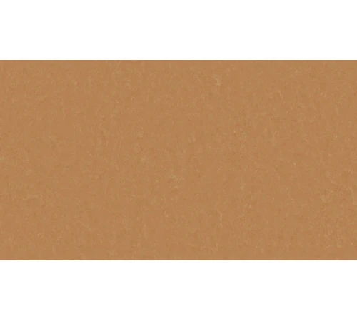 Линолеум Tarkett STYLE EMME xf²™ (2.5 mm) - Style Emme FOX 734