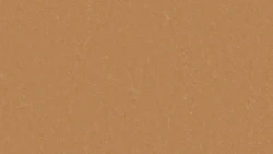 Лінолеум Tarkett STYLE EMME xf²™ (2.5 mm) - Style Emme FOX 734