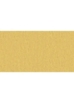 Линолеум Tarkett STYLE EMME xf²™ (2.5 mm) - Style Emme GOLD 728