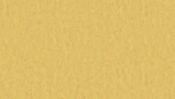 Лінолеум Tarkett STYLE EMME xf²™ (2.5 mm) - Style Emme GOLD 728