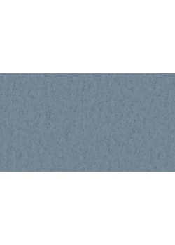 Линолеум Tarkett STYLE EMME xf²™ (2.5 mm) - Style Emme ICE 765