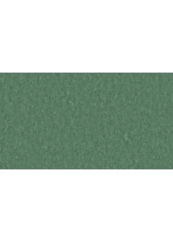 Линолеум Tarkett STYLE EMME xf²™ (2.5 mm) - Style Emme JADE 797