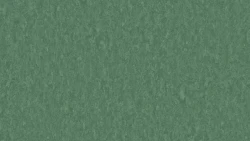 Лінолеум Tarkett STYLE EMME xf²™ (2.5 mm) - Style Emme JADE 797