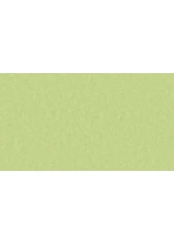 Линолеум Tarkett STYLE EMME xf²™ (2.5 mm) - Style Emme MOJITO 755